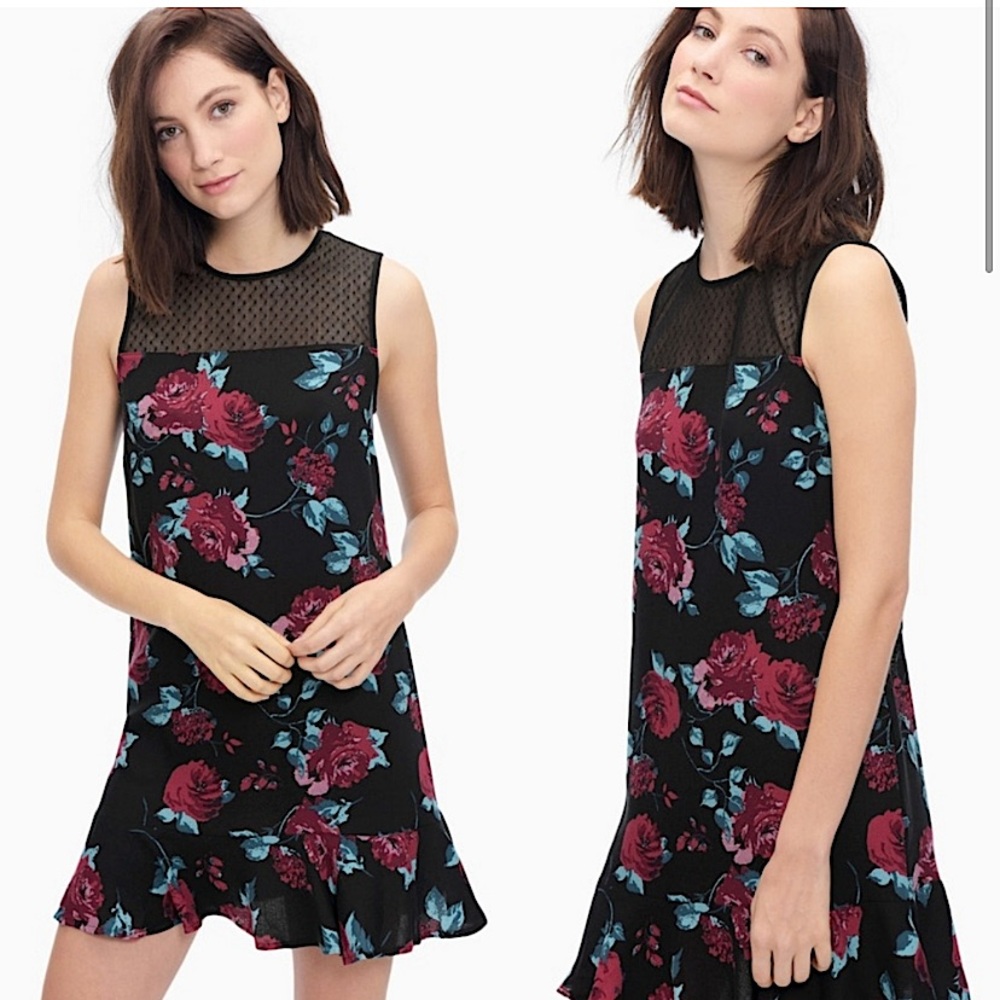NWT Splendid Chelsea Rose Dotted Mesh Shift Dress